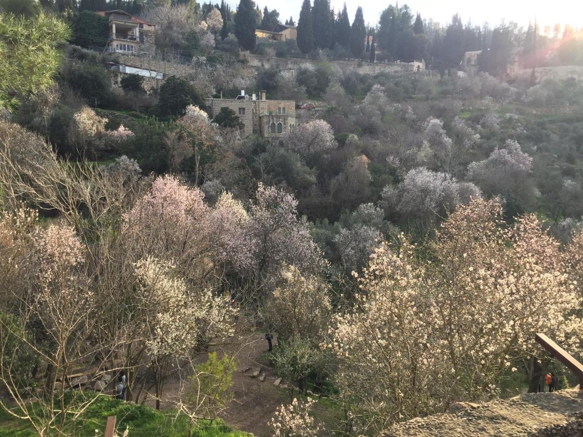 Sweet 'En Kerem View Bed & Breakfast Jerusalem Exterior photo
